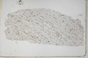 Plane Polarized, S43107