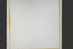 Plane Polarized, S43108/A