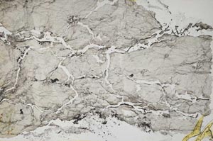Plane Polarized, S43112