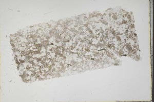 Plane Polarized, S43118