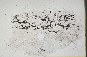 Plane Polarized, S43123