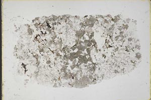 Plane Polarized, S43134