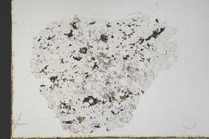 Plane Polarized, S43135