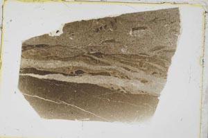 Plane Polarized, S43139