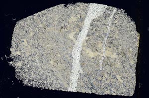 Cross Polarized, S43141