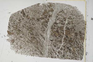 Plane Polarized, S43141