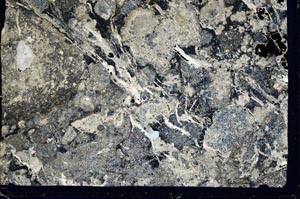 Cross Polarized, S43142