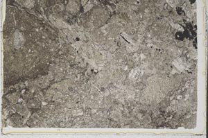 Plane Polarized, S43142