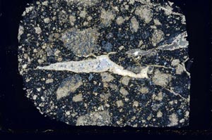 Cross Polarized, S43143