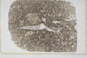 Plane Polarized, S43143