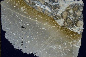 Cross Polarized, S43144