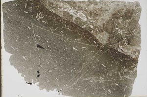 Plane Polarized, S43144