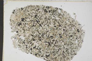 Plane Polarized, S43150