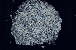 Cross Polarized, S43151