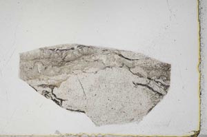 Plane Polarized, S43162