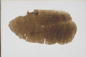 Plane Polarized, S43163