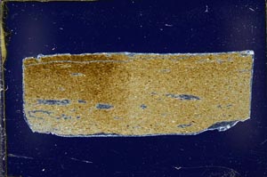 Cross Polarized, S43164