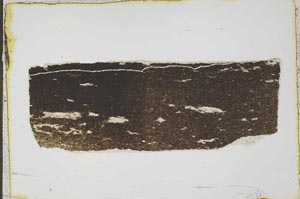 Plane Polarized, S43164
