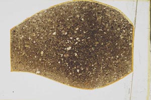 Plane Polarized, S43166