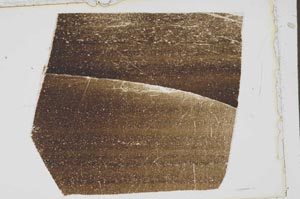 Plane Polarized, S43168