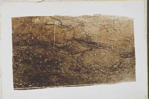 Plane Polarized, S43169