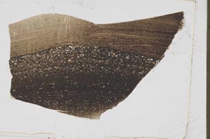 Plane Polarized, S43170
