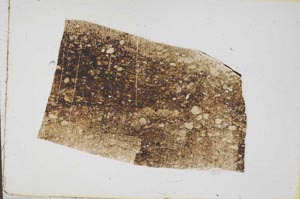 Plane Polarized, S43171