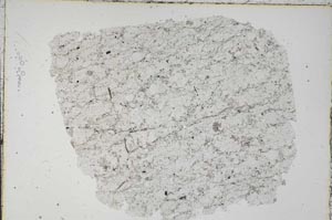 Plane Polarized, S43214