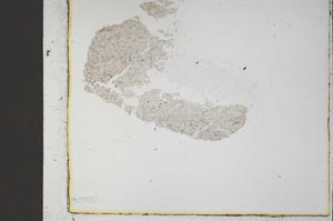 Plane Polarized, S43216