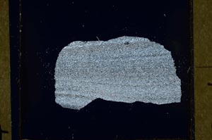 Cross Polarized, S43217