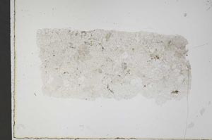 Plane Polarized, S43236/A