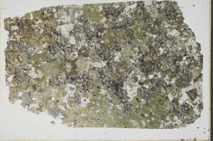 Plane Polarized, S43241