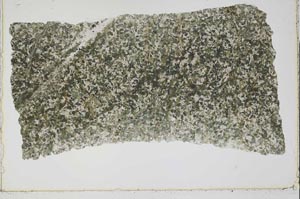 Plane Polarized, S43243