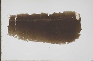 Plane Polarized, S43246