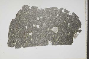 Plane Polarized, S43251