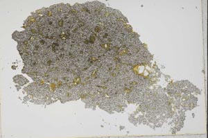 Plane Polarized, S43252