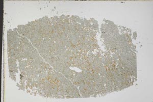 Plane Polarized, S43264