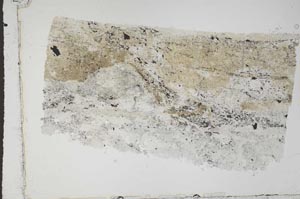Plane Polarized, S43271