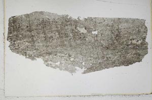 Plane Polarized, S43272