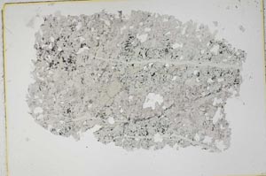Plane Polarized, S43286
