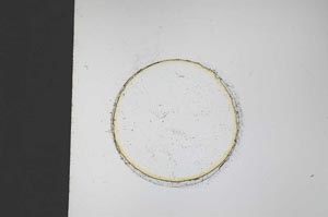 Plane Polarized, S43289/A