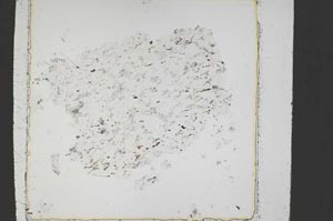 Plane Polarized, S43294