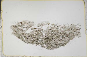 Plane Polarized, S43296