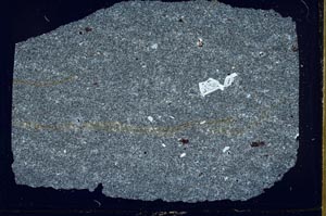 Cross Polarized, S43361