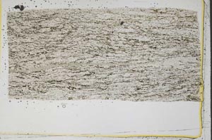 Plane Polarized, S43430