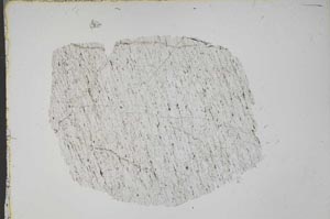 Plane Polarized, S43433