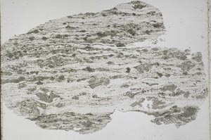 Plane Polarized, S43438
