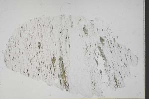 Plane Polarized, S43442