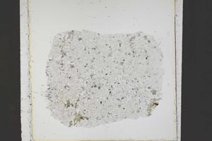 Plane Polarized, S43461