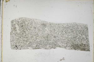 Plane Polarized, S43464